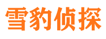 眉县捉小三公司